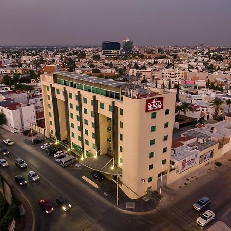 סן לואיס פוטוסי Hotel Ankara "Las Lomas" מראה חיצוני תמונה