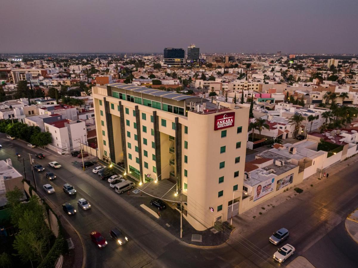 סן לואיס פוטוסי Hotel Ankara "Las Lomas" מראה חיצוני תמונה