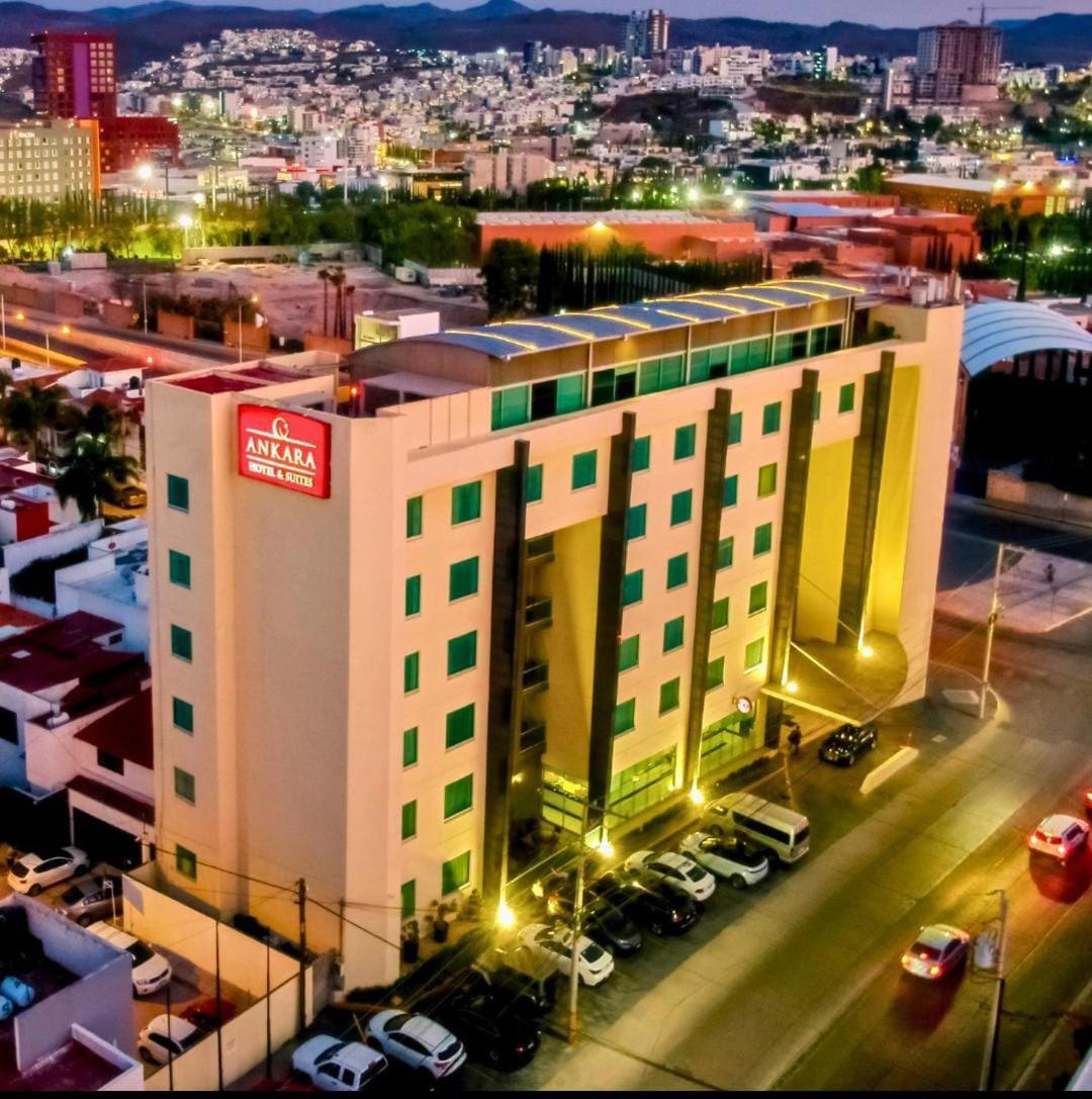 סן לואיס פוטוסי Hotel Ankara "Las Lomas" מראה חיצוני תמונה