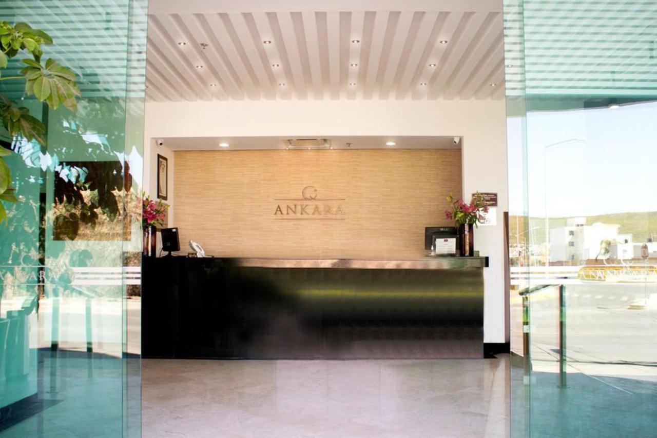 סן לואיס פוטוסי Hotel Ankara "Las Lomas" מראה חיצוני תמונה