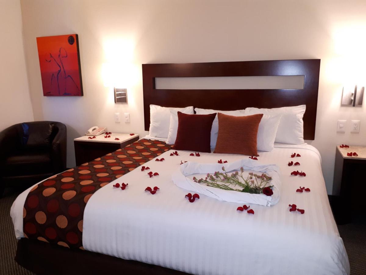 סן לואיס פוטוסי Hotel Ankara "Las Lomas" מראה חיצוני תמונה
